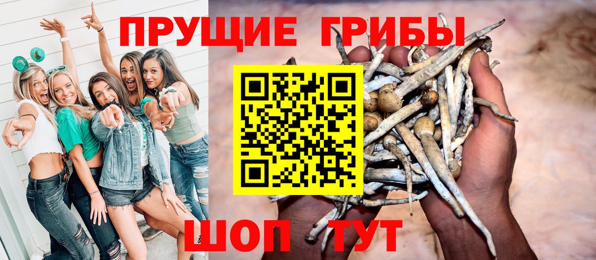 Галлюциногенные грибы прущие грибы  Вход с VPN  Керчь 