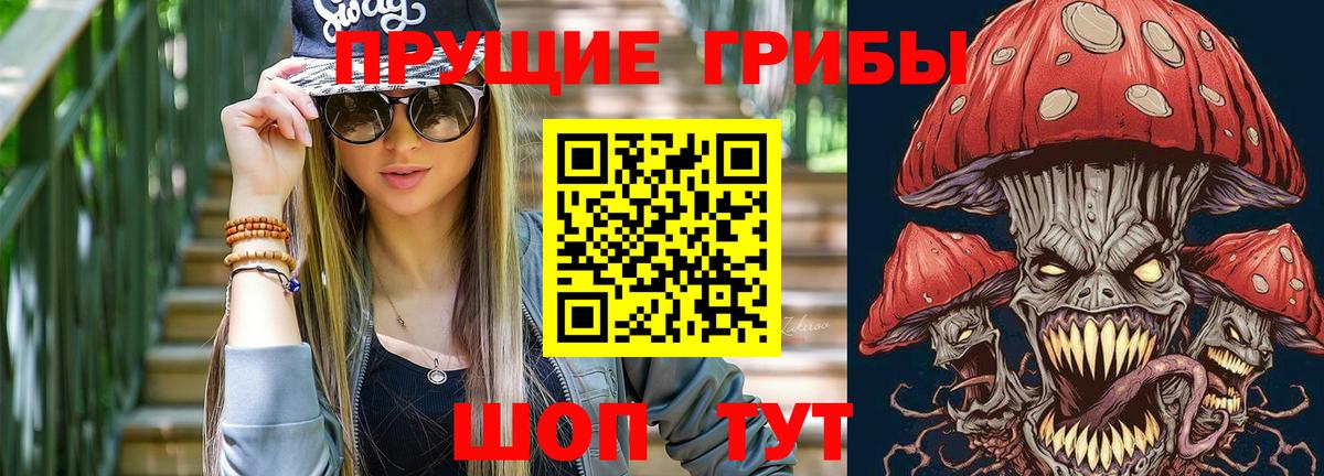 Псилоцибиновые грибы мицелий Керчь